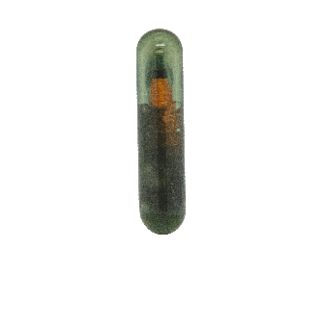 TP826 - GKM KL MICRO GLASS CHIP ID48 ID13